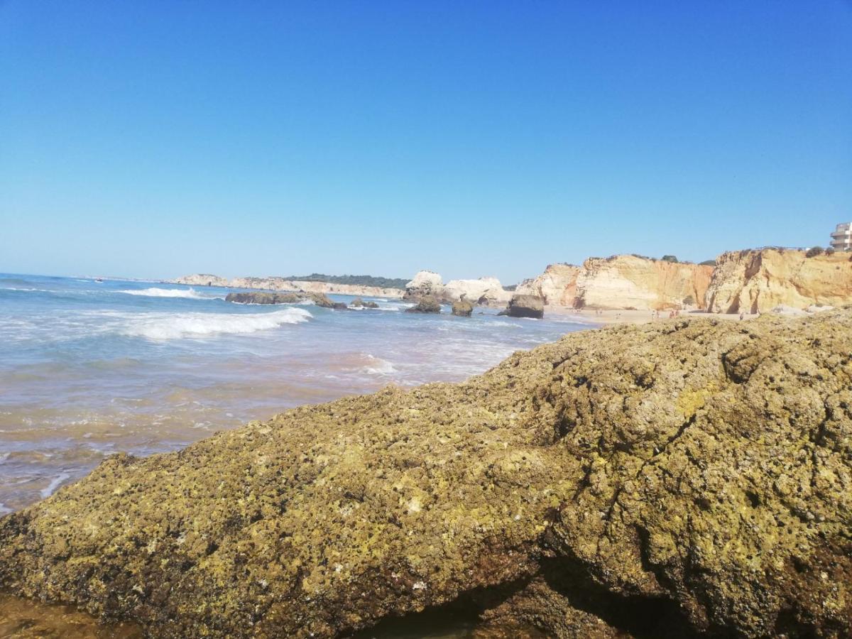 Rocha Praia Mar Beach Front Line Bay Portimao Bagian luar foto